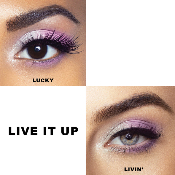 Live It Up